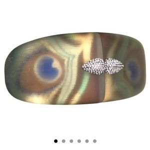 Alexis Bittar peacock hinge lucite bangle